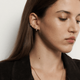 MADA + CAI + EZRA - Sun Society